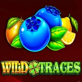 Official Slots logo: Wild Traces by Amusnet Interactive at Lysa Casino